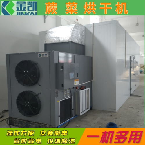 【蕨菜烘干機蔬菜烘干機果蔬烘干機空氣能烘干房】- 
