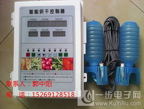 全自動(dòng)溫控果蔬烘干機(jī)控制儀