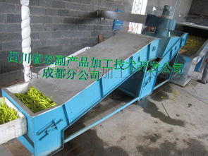 高效農業加工利器 黃花菜蒸煮機與果蔬烘干機的應用